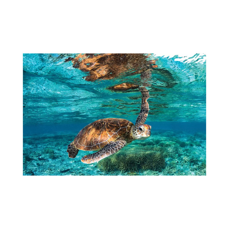 Hey You, 18'' H x 26'' W x 1.5'' D, No Matte, Wrapped Canvas