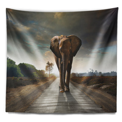 Photographie unique marche tapisserie d'éléphant