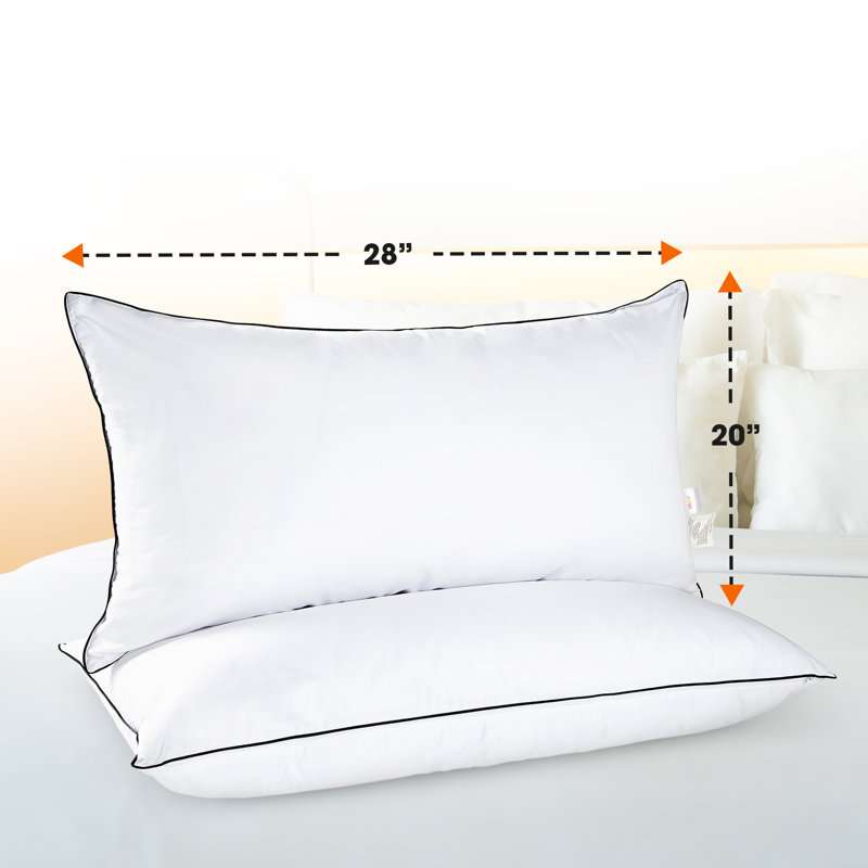 Cheer Hollow Fiber Medium Pillow, Standard Pillow: 20" x 26"