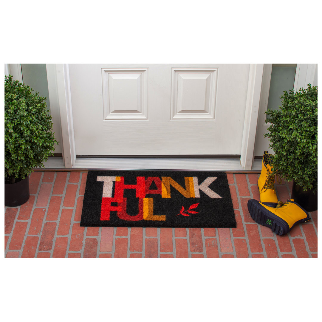 Non-Slip Indoor Doormat Latitude Run®