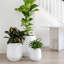 Pot de fleurs Dorlis Fiberstone-930299739-930299744