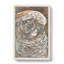 Head Of A Parrot by Theo Van Hoytema - Wrapped Canvas-61852563