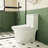 1.1/1.6 GPF Elongated Comfort Height Floor Mounted One-Piece Toilet, CUPC Certified, Watersense Cetified, Ceramic, White Color, Soft Close Seat