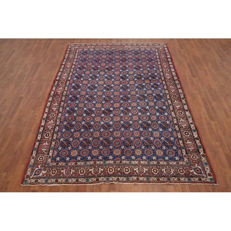 Vegetable Dye Traditional Area Rug 7x10
