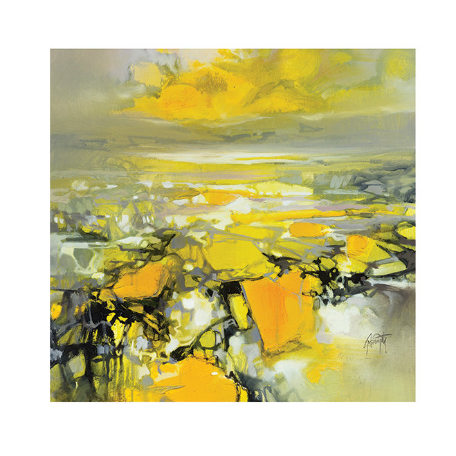Scott Naismith - Wrapped Canvas Painting, 40cm H x 40cm W x 0.01cm D