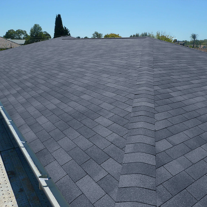 Living And Home Asphalt Roofing Kit