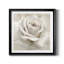 «Dreamy I», reproduction d'art sur papier encadré-809926960-809926967