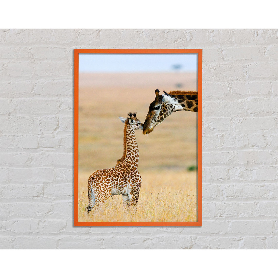 Anjana Baby Giraffe Liebe - Druck