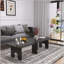 Ensemble de tables basses Modern Modern