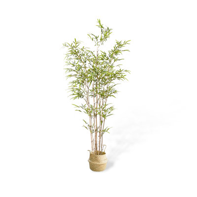 Simulation de pot en bambou, nouvelle plante verte d'intérieur zen chinois