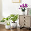 TYHPOT Ceramic Pot Planter-141006032