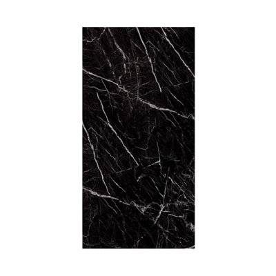 Titan 48-in x 96-in Shower Wall Panel, Black Caruso (Ultra Honed), TW4896-KI03H