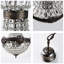 6 - Light Chandelier