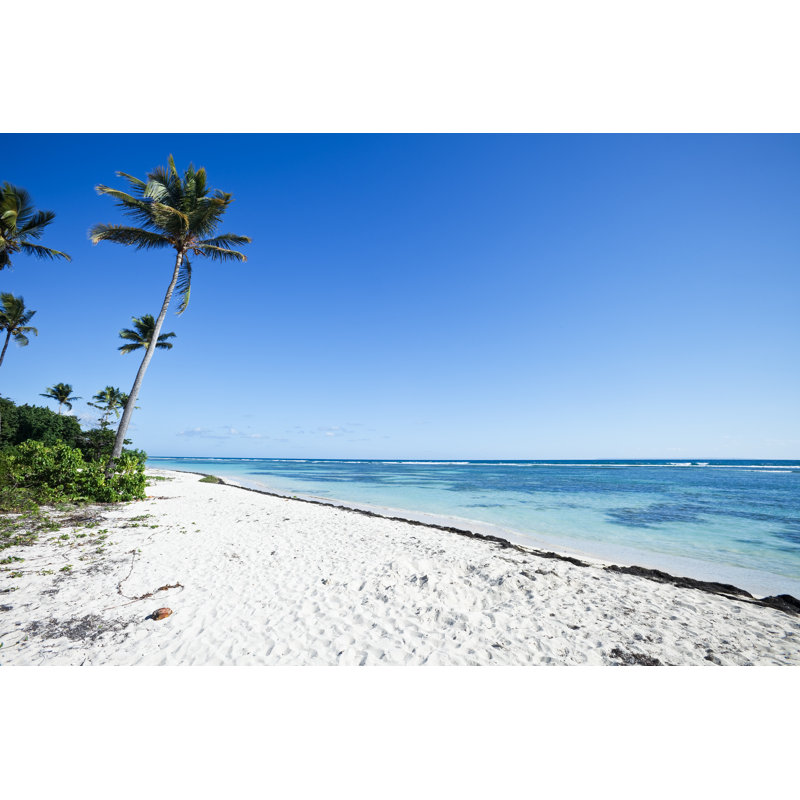 Palm Trees On Caribbean Beach by Stevegeer - No Frame Art Prints on Canvas, 61cm H x 91cm W