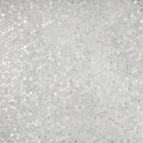 Conchella Mini Penny White 11-1/2" x 11-5/8" Natural Shell Mosaic Tile