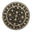 Oriental Area Rug