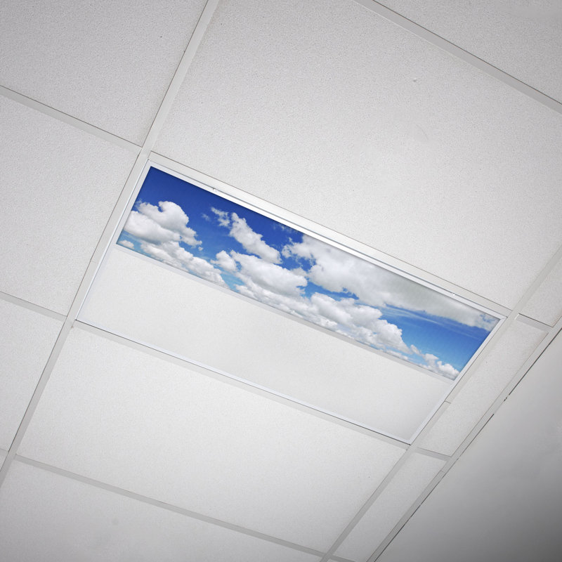 Cloud Rectangle Fixture Component Ceiling Light