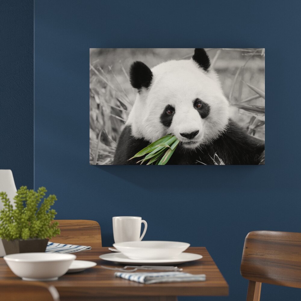 Kuscheliger Panda frisst Bambus Grafikdruck auf Leinwand