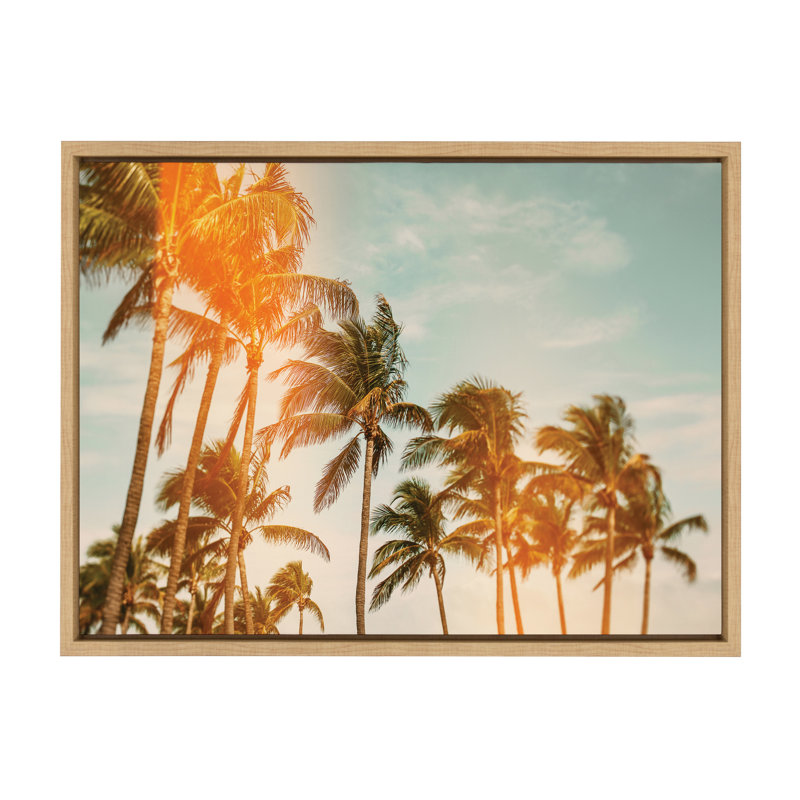 «Miami Breeze» par Alicia Bock, reproduction d'art sur toile encadrée