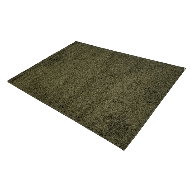 Tapis de salon, tapis de salon, tapis 5 x 7, vert hirsute