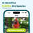 Birdfy 2 Smart Bird Feeder with Camera, Dual-Angle Views, 3 Lenses, AI Identifies 6000+ Birds, Wireless, Solar-Powered, Motion Detection, Gift Present