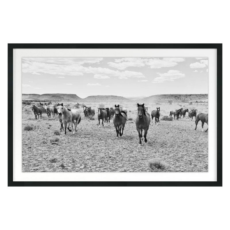 «Remuda B&W» par Jean Cornell, Cadre noir, H 20 po x l 30 po