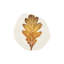 Autunno Handmade Terra Bianca