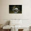 Swan Lake Reflection-107960749
