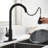 FB WERFY Pull Down Kitchen Faucet-69001085