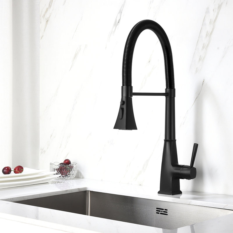 Kitchen Faucet With Pull Down Sprayer