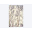 «Birch Trees» par Olivia Joy St Claire - impression sur toile tendue-33089062-72233598-72233599