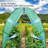 70.9'' W x 70.9'' D Greenhouse
