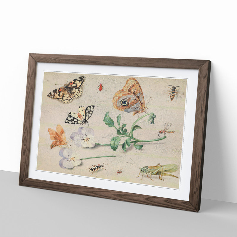 Butterflies and Insects Vol.2 by Jan Van Kessel - Picture Frame Painting, Walnut Framed, 27cm H x 36cm W x 2cm D