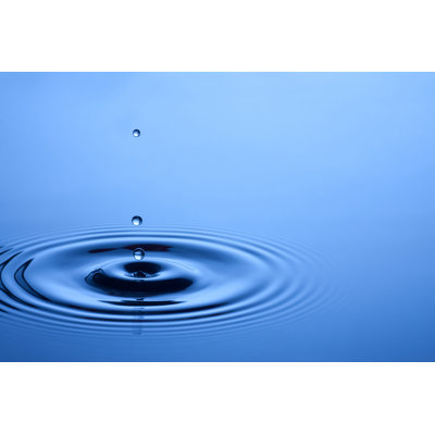 Water Drop - Wrapped Canvas Print