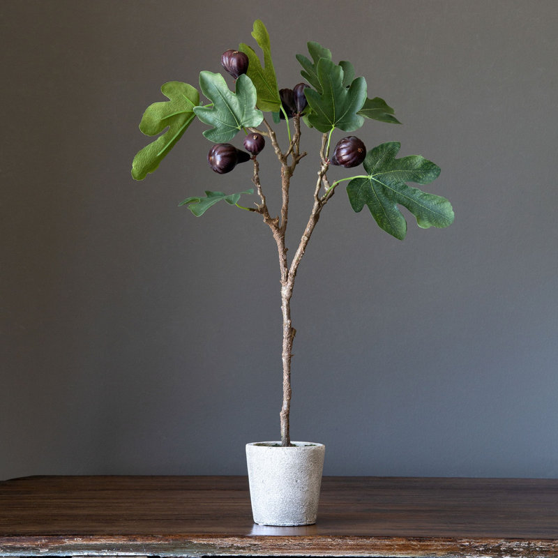 23'' Faux Ficus Topiary in Pot