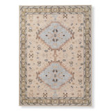 Wool Oriental Area Rug in Brown/Gray/Beige
