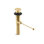 Premier Exposed 1.25" Pop-Up Bathroom Sink Drain With Overflow