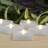Battery Operated LED Lights with Timer, Soft White