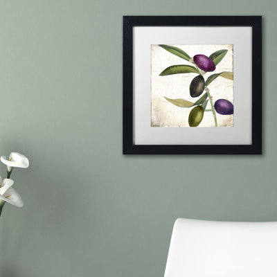Jadaya Olive Branch II' by Color Bakery Framed Print of Painting