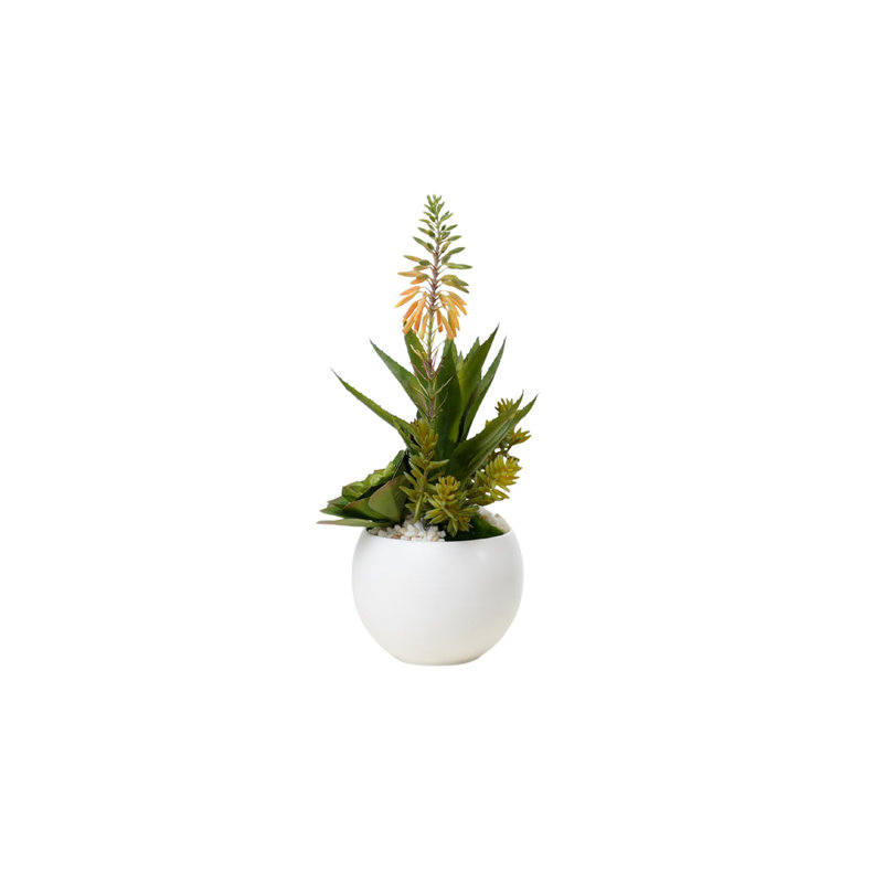 Agave Succulent Arrangement in White Ceramic Sphere
