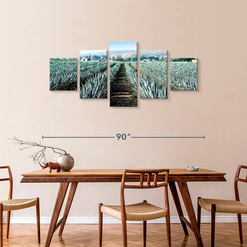 Agave Alvord Farm, H 36 po x l 80 po