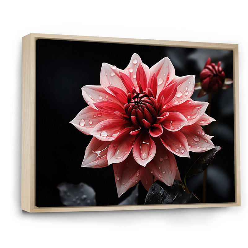«Pink Dahlia Dazzling», reproduction d'art sur toile florale, H 12 po x l 20 po x P 1 po, Cadre naturel flottant