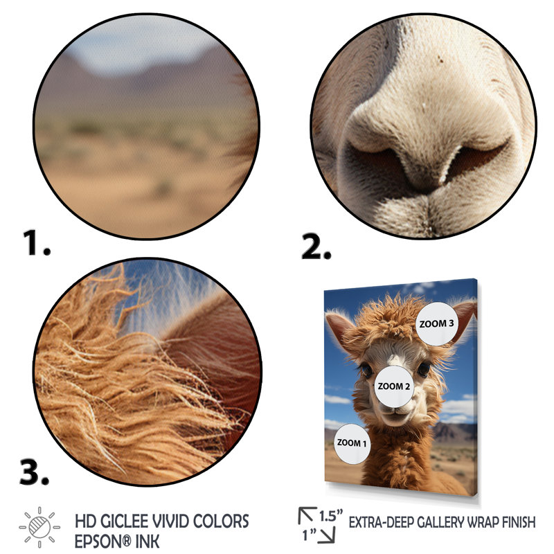 Portrait d'alpaga beige Taneesha I - reproduction, Cadre simple noir, H 44 po x l 34 po x P 1,5 po