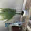 Customer photo 1 of 2