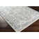 Hewson Oriental Indoor Rug