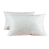 Pillow Insert