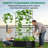 Galvanized Raised Garden Bed With 71In Arch Trellis For Climbing Plants-1934175740