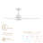 Cyclone Collection Smart Indoor and Outdoor 52in 3-Blade Ceiling Fan 2700K-6000K CCT Selectable LED Light Kit with Remote Control Works With iOS or Android App-1071315492