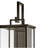 Hinkley Weymouth Wall Mount Lantern-108493343