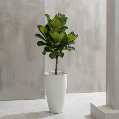 Pot Planter